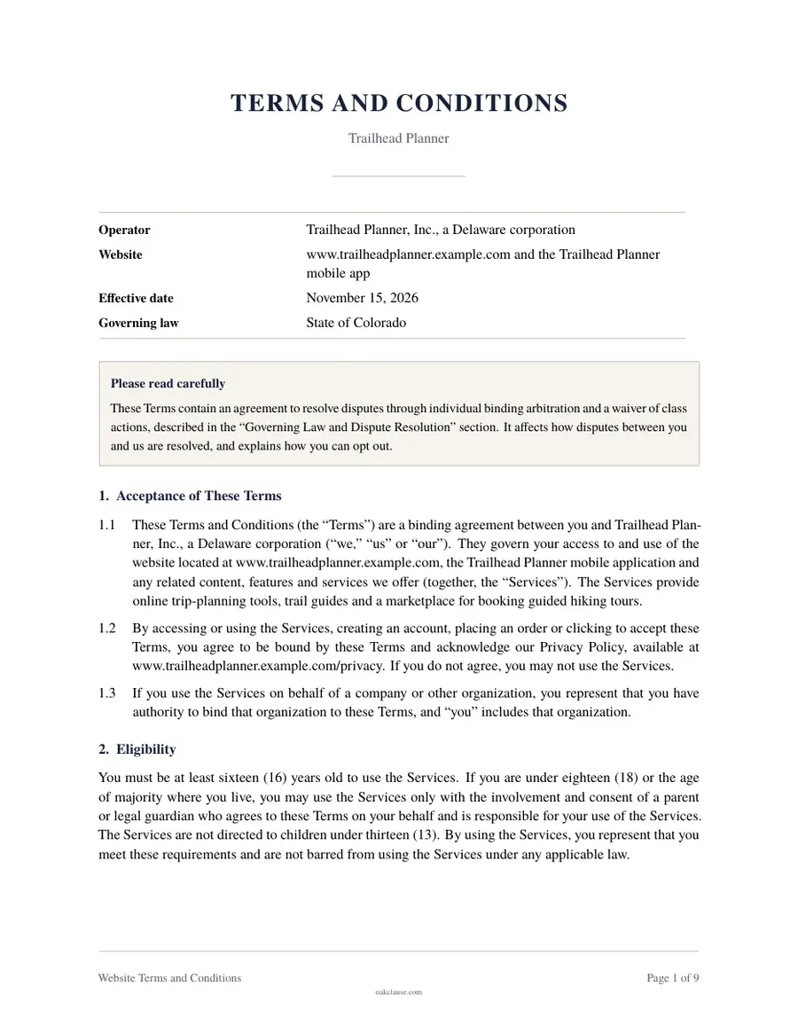 First page of a sample Website Terms and Conditions